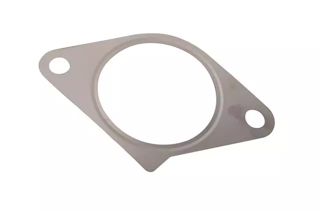 Valve Gasket