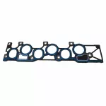 Manifold Gasket