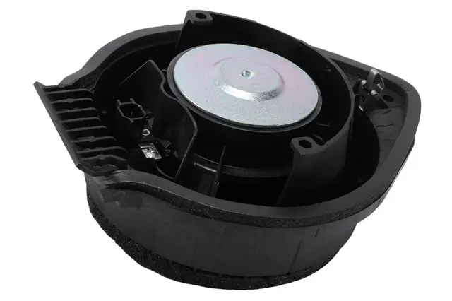 Rear Side Door Speaker