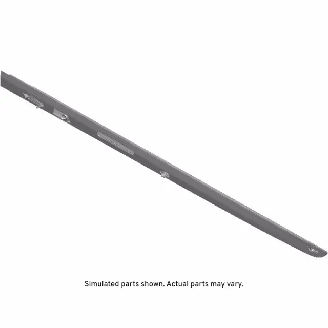 2015  2020 Cadillac Rear Right Door Body Side Molding galvano Silver Exterior Trim 23264125