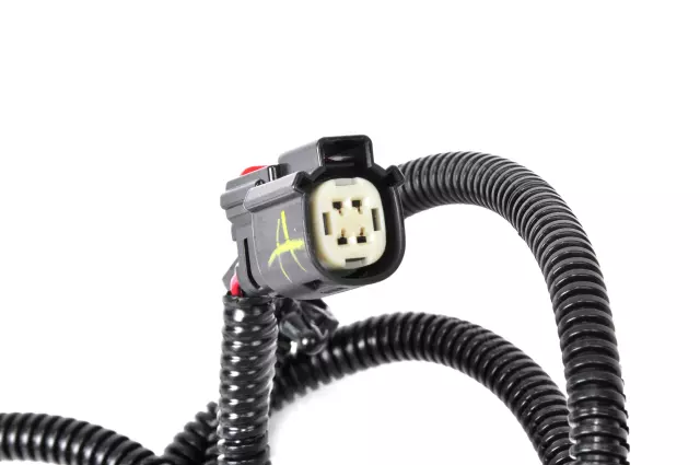 Tail Light Wiring Harness