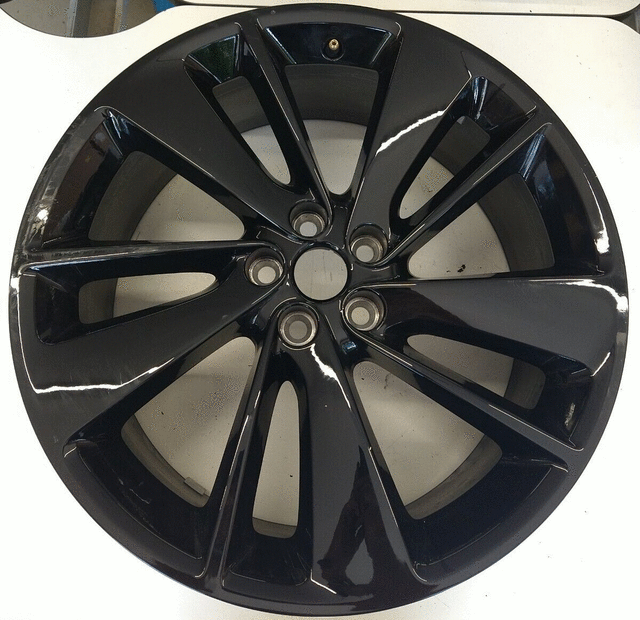 ブラックデザイン black design タイガーカモ柄