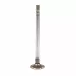 Engine Intake Valve