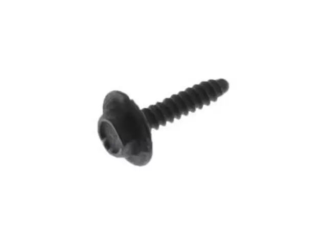 Passenger Air Bag Retainer Screw