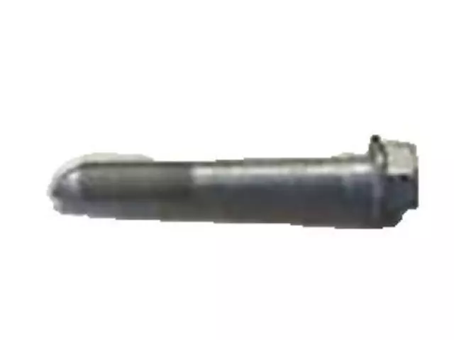 Trailing Arm Bolt