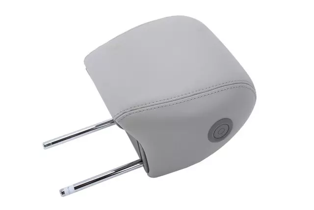 Light Titanium Front Seat Head Restraint