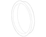 Sealing Ring