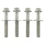 Ft Lower Control Arm Front Bolt