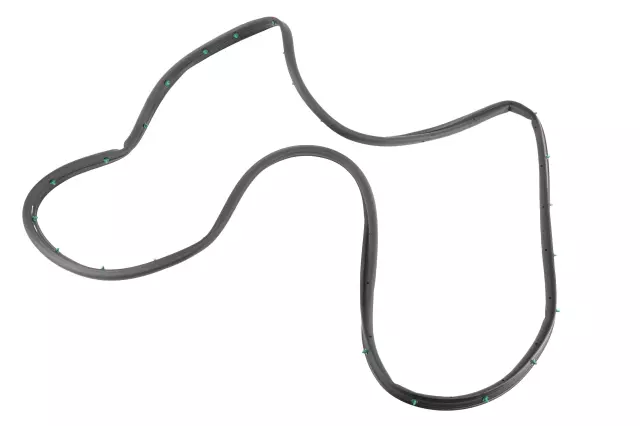 Rear Driver Side Door Weatherstrip