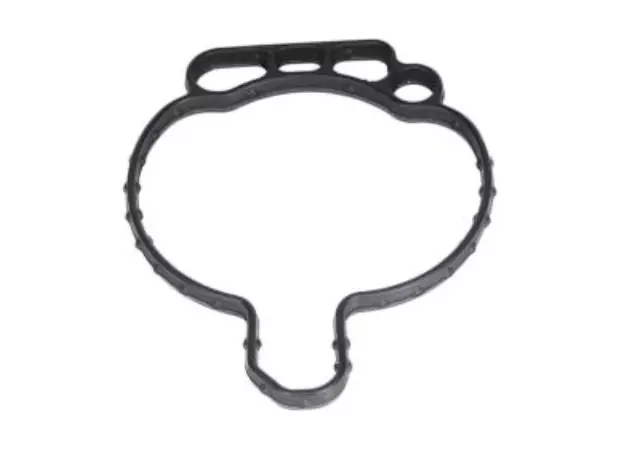 Fuel Injection Throttle Body Mounting Gasket