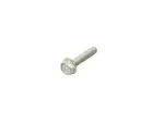 Hex Head Screw