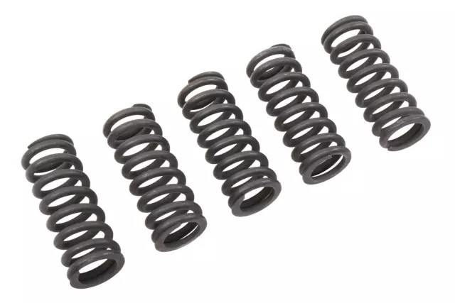 Side Door Hinge Spring