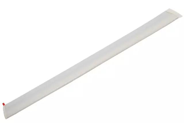 Rear Passenger Side Door Molding