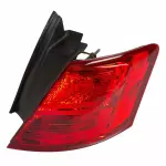 Tail Lamp Assembly