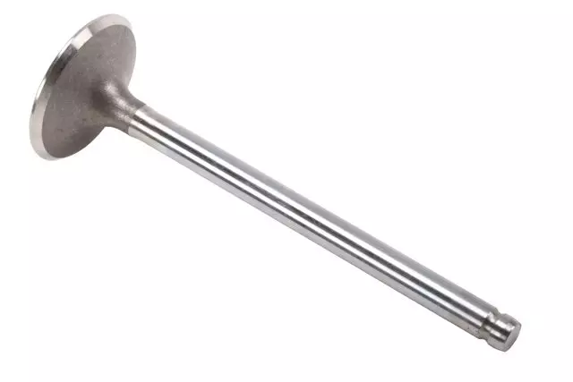 Exhaust Valve