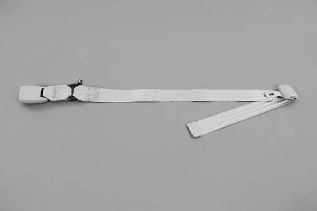 3 Passenger Inner Seat Belt, Left