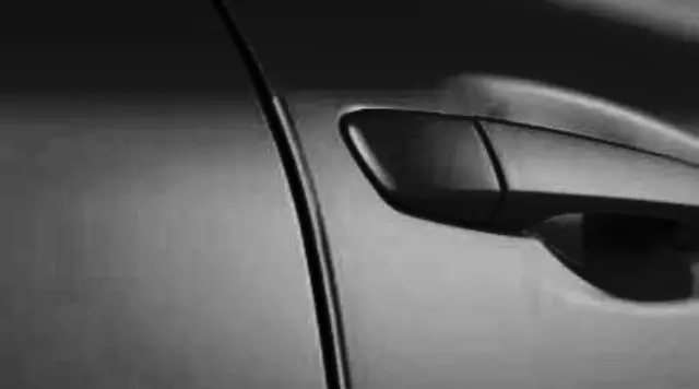 2011-2020 Lexus GX460 - Door Edge Guards, Black Onyx