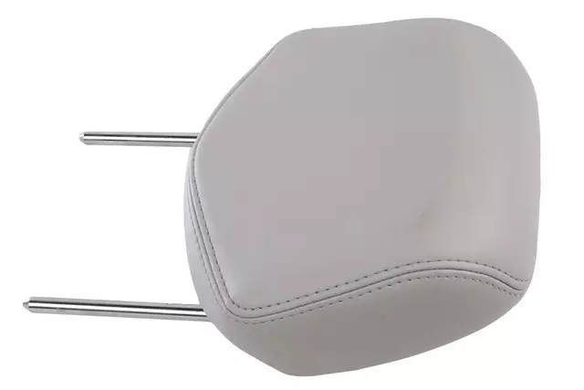 Light Titanium Front Seat Head Restraint