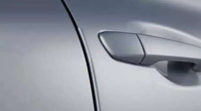 Door Edge Guards - Obsidian