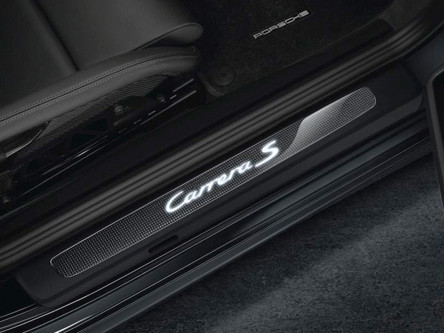 Door Entry Guards In Carbon - Illuminated