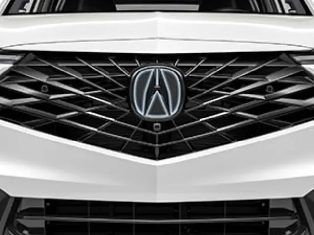 2005-2008 Acura RL Emblem Letter Logo Symbol Badge Trunk Rear Chrome