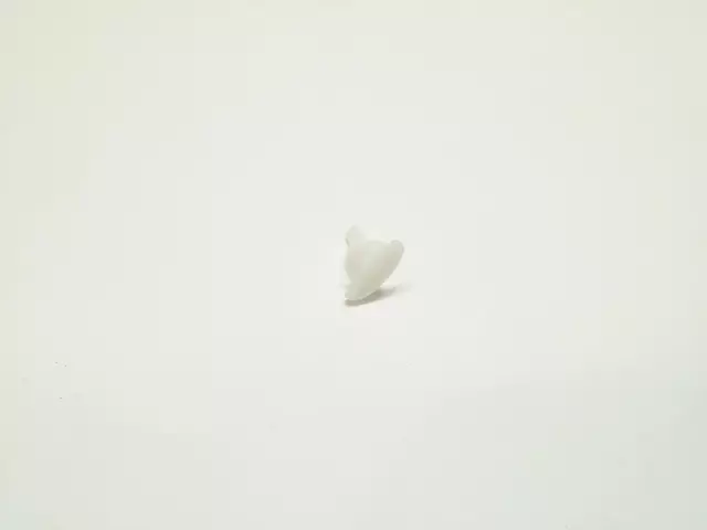 Lower Weather-Strip Retainer Clip