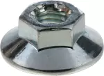 Window Regulator Nut