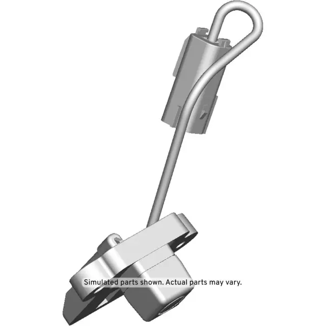 Park Assist Camera Control Module