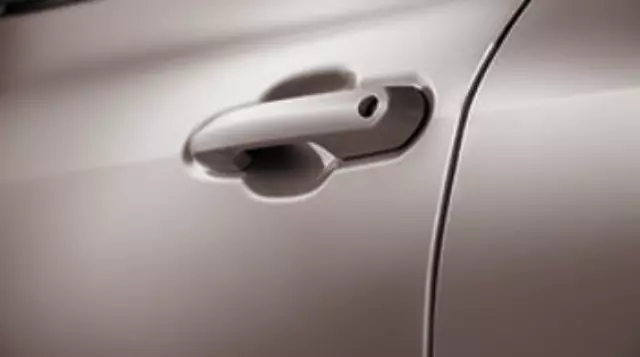 2020-2022 Toyota Highlander - Door Edge Guards - Opulent Amber