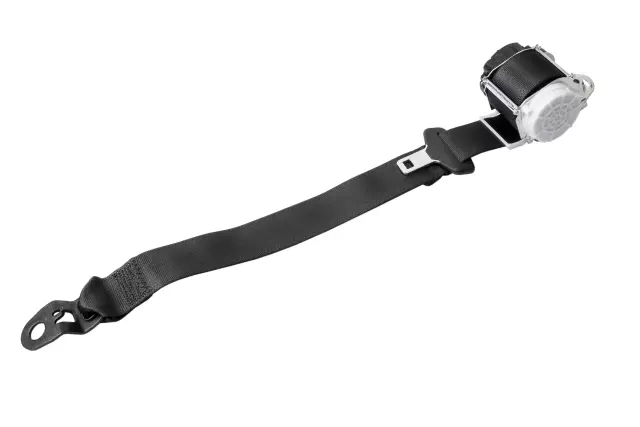 Center Belt Assembly