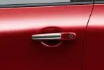 Door Handle Accents