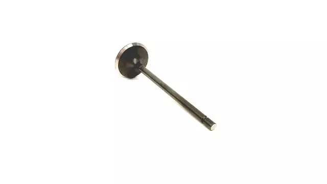 Intake Valve