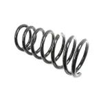 Front Coil Spring, Left