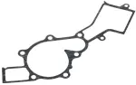 Engine Water Pump Gasket