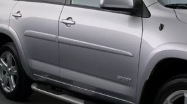 Molding, Body Side, Flint Mica