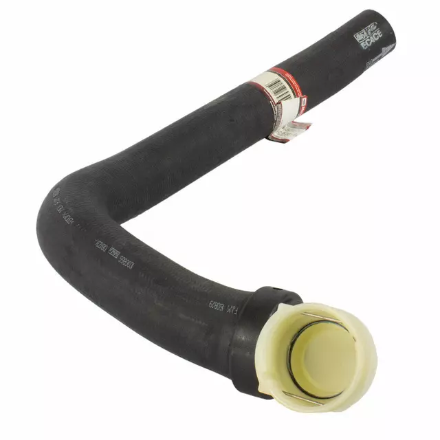 Lower Hose