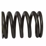 Valve Springs