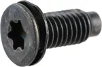 Striker Screw