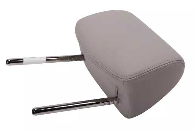 Dark Titanium Rear Seat Head Restraint