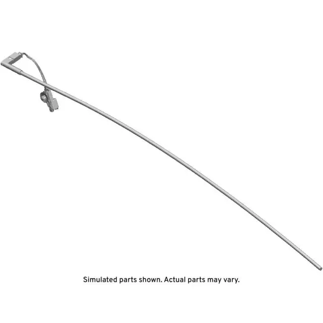 Rear Passenger Side Door Lamp