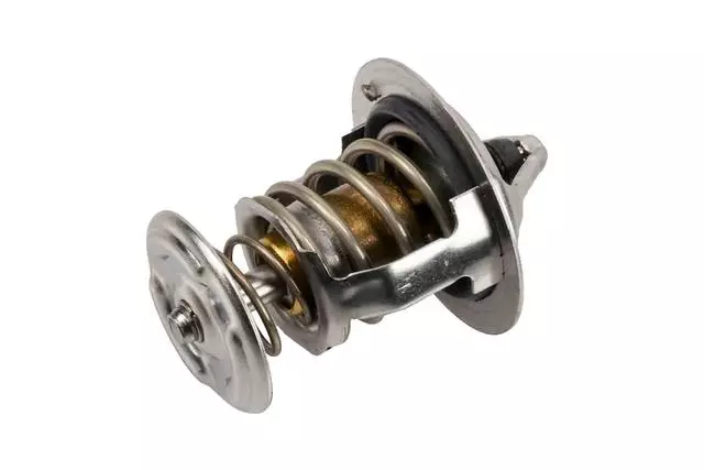 Acdelco™ Thermostat