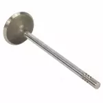Intake Valve