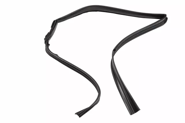 Rear Driver Side Door Window Channel