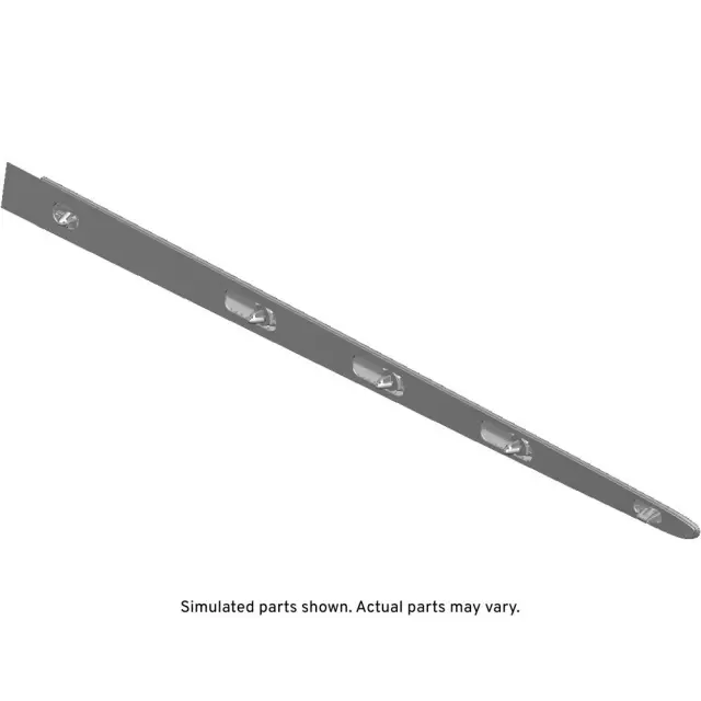 Galvano Silver Passenger Side Rear Side Door Molding