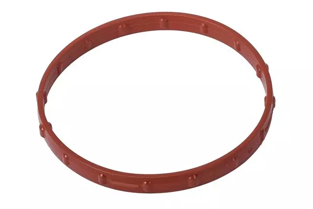 Fuel Injection Throttle Body Seal