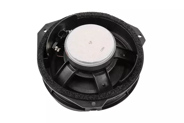 Front Door Lower Radio Speaker