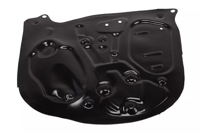 Front Passenger Side Door Water Deflector