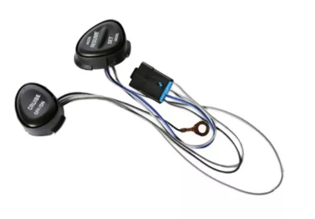 Cruise Control Switch