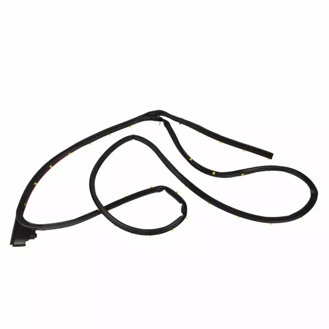 2015-2022 Ford Door Weather-Strip FL3Z-1625324-A | OEM Parts Online