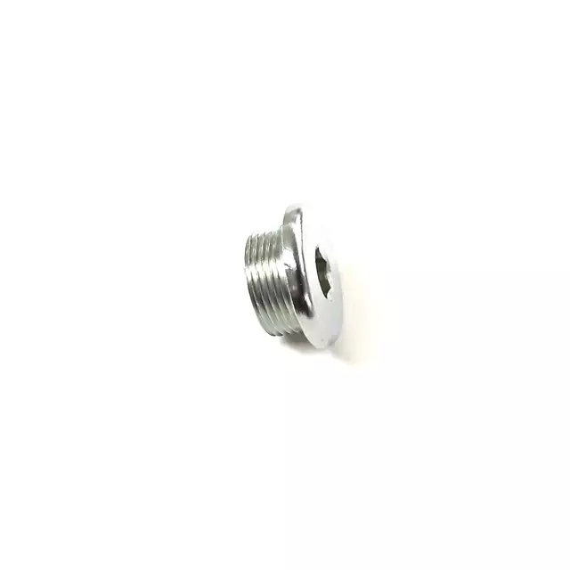Engine Oil Drain Plug